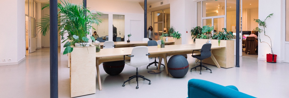 espace de travail avec du mobilier en bois, armoires de rangement avec plantes verts et fauteuils de bureau