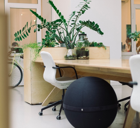 un espace de travail avec pouf, siège de bureau, bureaux en bois et plantes vertes