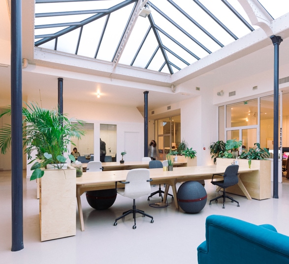 espace de travail ouvert avec des bureaux en bois, des casiers de rangement avec des plantes, un bout de canapé bleu, des chaises et une grande verrière
