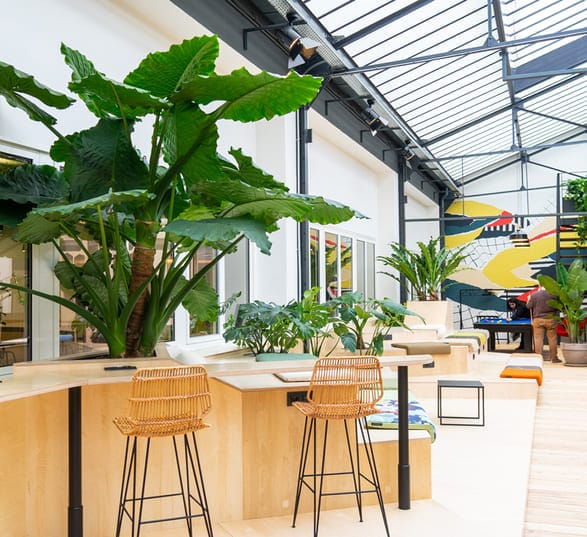 des tables en bois, chaises en osiers et grandes plantes vertes dans un grand open space