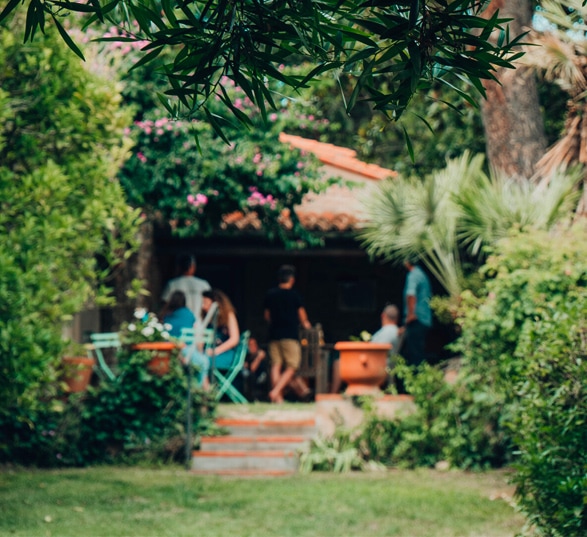 un jardin avec des personnes au fond en afterwork
