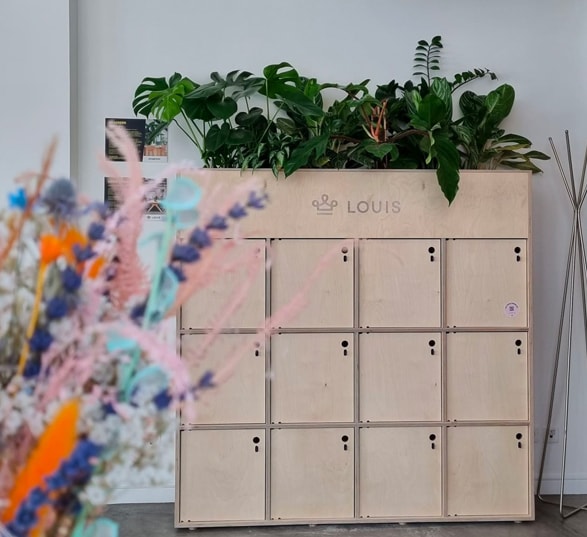des fleurs séchées devant une armoire en bois avec casiers et plantes vertes