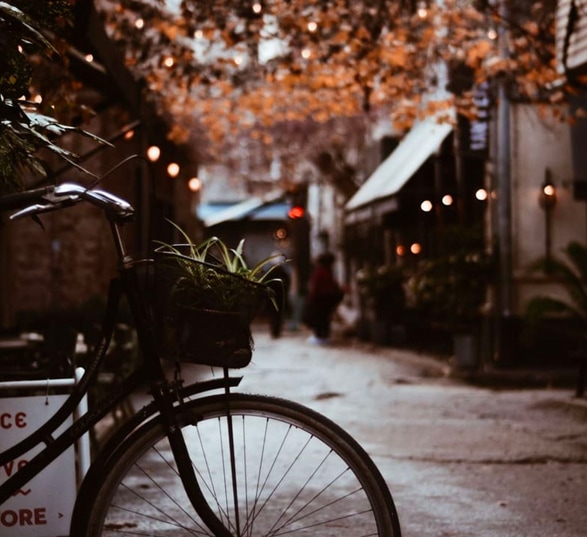 un vélo avec un panier et un plante garé dans une rue