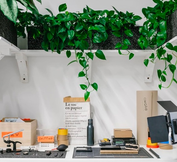 un bureau blanc avec des fournitures et des étagères remplies de lierres