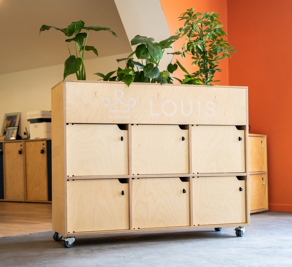 un meuble en bois avec casier de rangement et des plantes vertes dessus devant un mur orange