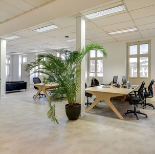 une grande plantes vertes et plusieurs grands bureaux dans un espace de coworking
