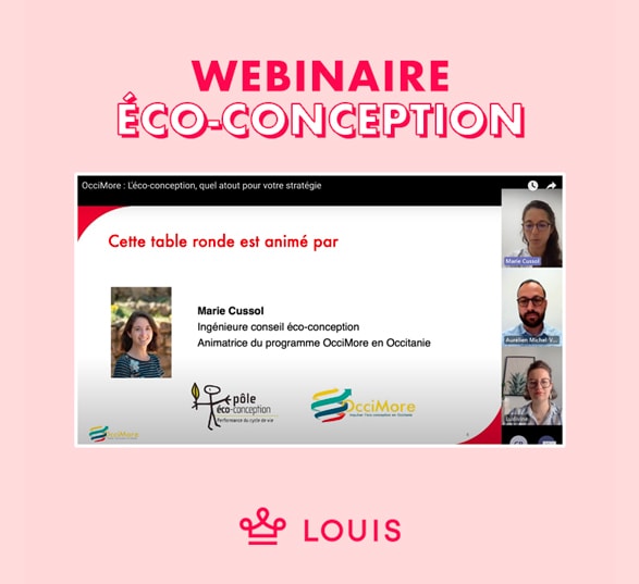 capture d’écran d’un webinaire sur l’écoconception