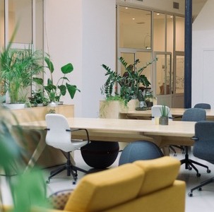 un espace de travail idéal avec canapé jaunes, plantes vertes, tables en bois et fauteuils de bureau