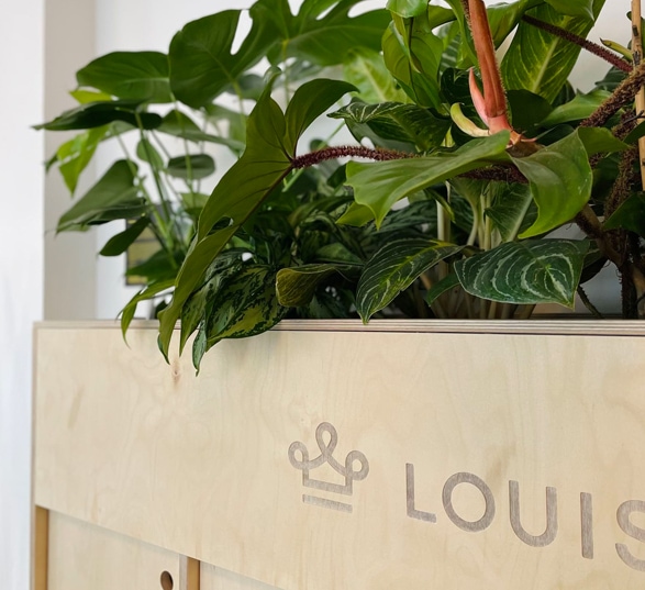 un meuble en bois gravé avec le nom LOUIS et un bac à plantes intégré
