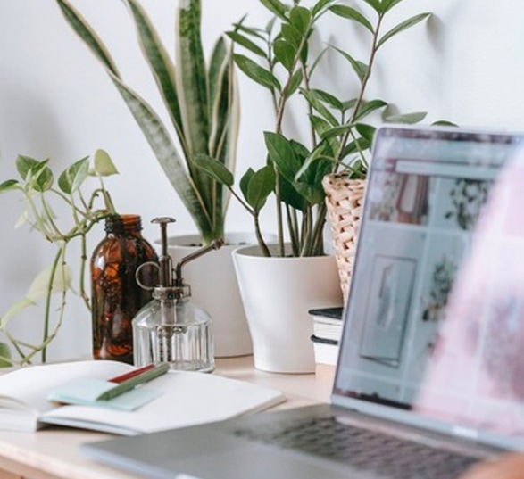 un ordinateur, un carnet et des petites plantes vertes sur un bureau