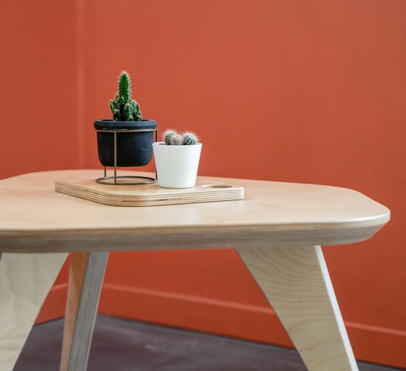 Deux petits cactus posés sur une table basse en bois clair dans une pièce aux murs oranges