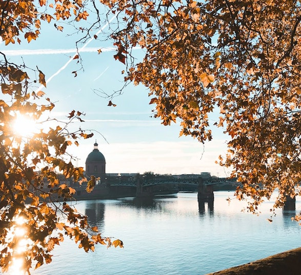 des arbres, une coupole et la garonne à Toulouse