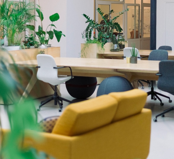 un open space avec un canapé jaune, une table en bois, des sièges de bureaux et des plantes