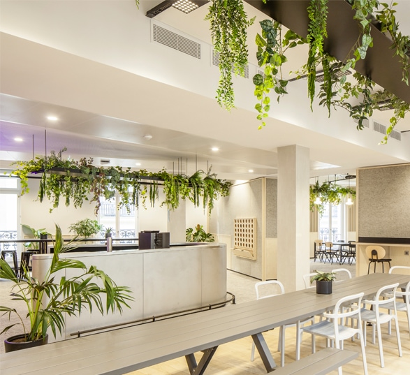 cuisine et cafétéria d'entreprise blanche avec des tables et des plantes suspendues