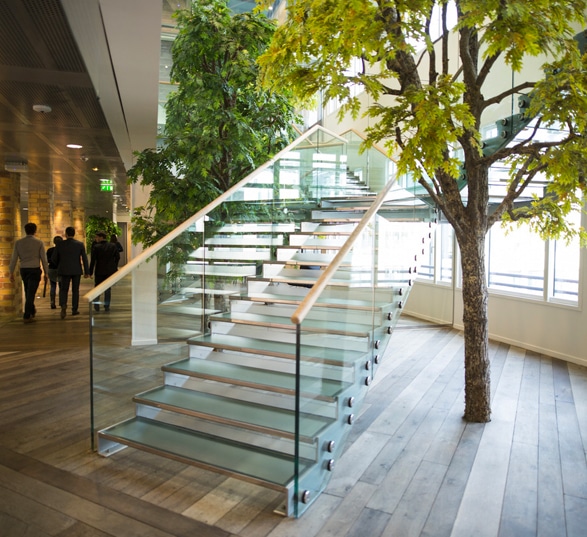 un escalier en vert avec un arbre situé à côté