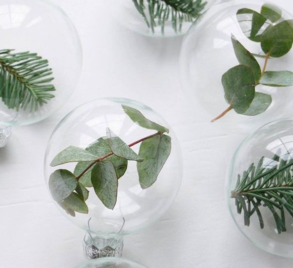 Boules de Noël faites maison, transparentes avec des végétaux à l'intérieur.