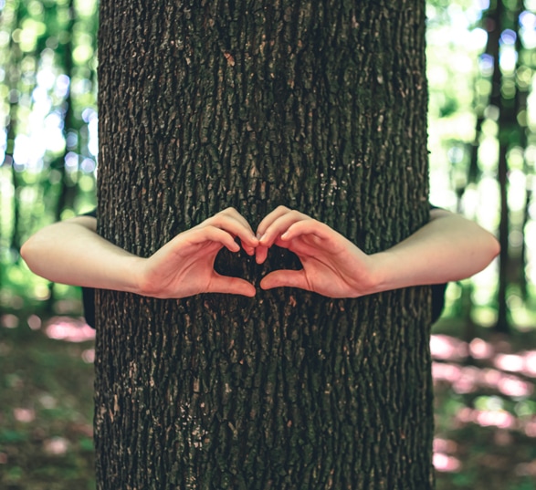 Des bras entourent le tronc d'un arbre, avec les doigts qui forment un coeur.