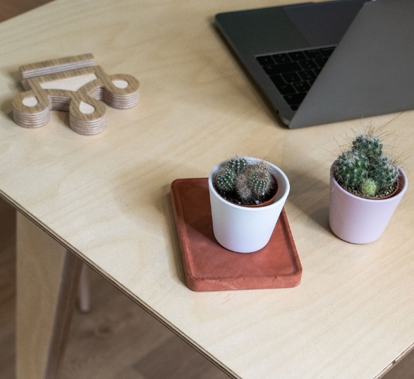 Apporter de la verdure au bureau avec des plantes décoratives