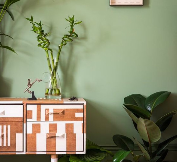 Meuble de rangement avec des plantes vertes et des murs couleur vert kaki