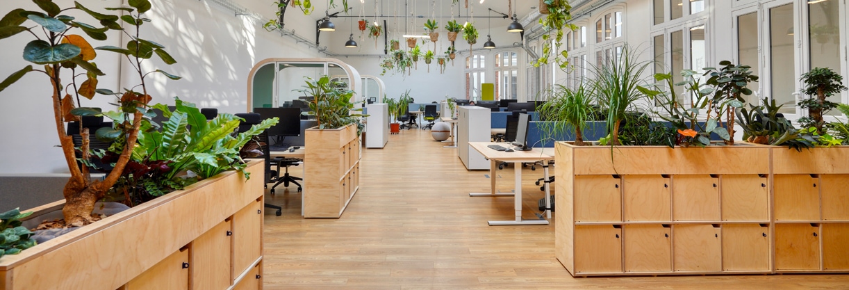 Aménagement bureaux en open space avec des meubles de rangement et des bureaux en bois et des plantes vertes